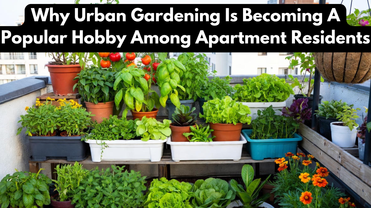 Why Urban Gardening Is Becoming A Popular Hobby Among Apartment Residents