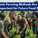 Why Organic Farming Methods Are Becoming More Important for Future Food Security