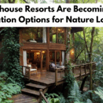 Why Treehouse Resorts Are Becoming Unique Vacation Options for Nature Lovers