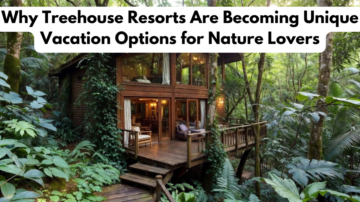 Why Treehouse Resorts Are Becoming Unique Vacation Options for Nature Lovers